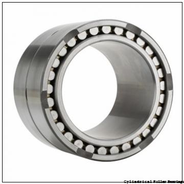 2.756 Inch | 70 Millimeter x 4.921 Inch | 125 Millimeter x 0.945 Inch | 24 Millimeter  CONSOLIDATED BEARING N-214E C/3  Cylindrical Roller Bearings