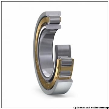 7.087 Inch | 180 Millimeter x 11.024 Inch | 280 Millimeter x 1.811 Inch | 46 Millimeter  NSK NU1036M  Cylindrical Roller Bearings