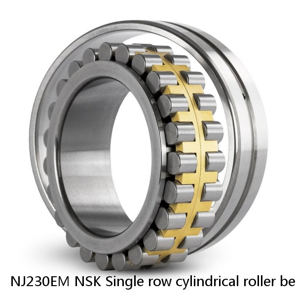 NJ230EM NSK Single row cylindrical roller bearings