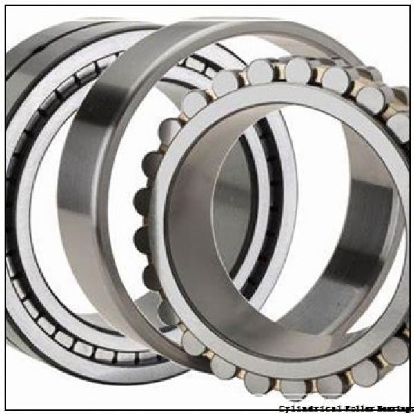 25 mm x 52 mm x 15 mm  SKF NJ 205 ECJ  Cylindrical Roller Bearings #2 image