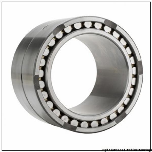 25 mm x 52 mm x 15 mm  SKF NJ 205 ECJ  Cylindrical Roller Bearings #3 image