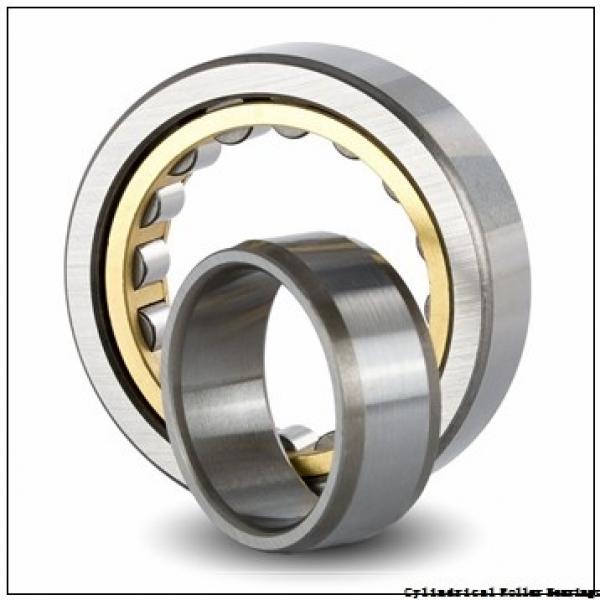 120 mm x 215 mm x 58 mm  SKF NU 2224 ECML  Cylindrical Roller Bearings #1 image